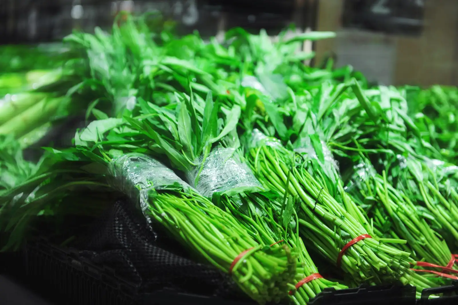 丁腈与乳胶劳保手套性能对比及适用场景分析