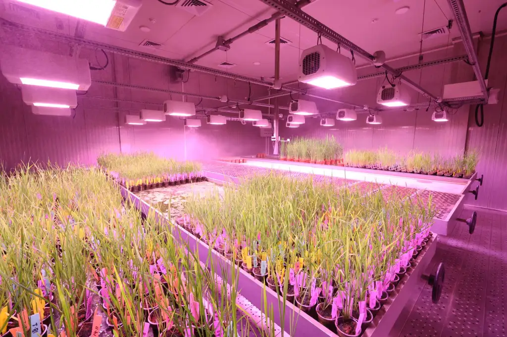 东莞劳保手套织造工艺升级：从纱线到成品的质量把控要点